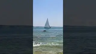 Ocean Calm & Sailboat  Serenity| A Moment by the Sea #PeacefulMoments  #SlowLiving #SeasideSerenity