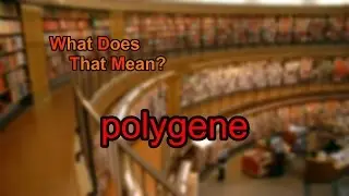 What does polygene mean?