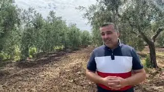 Visita ad un Oliveto abruzzese.