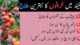 Urdu quotes /new & unique quotes in Urdu /Romi quotes in Urdu/REHquotes Hub 