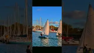 🔥🔥🔥 laser edit #viral #sailing #ilca #edit