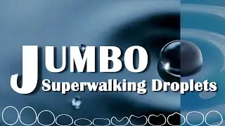 V-006: Jumbo Superwalking Droplets