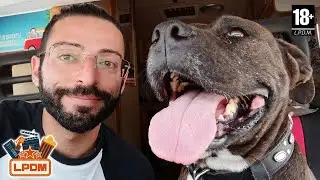 Amy non c'è più