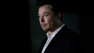 Tesla CEO Elon Musk buys Twitter