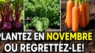 10 Extremely Productive Crops You Must Plant in November Before It's Too Late