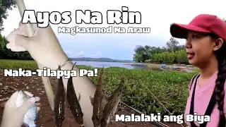 AYOS NA RIN: Magkasunod na Araw: Naka-Tilapya Pa! : Malalaki Ang Biya