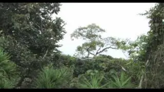 two weeks in perquin
