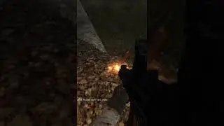 Rare stalker anomaly emote #stalkeranomaly #prypiat #callofpripyat #gaming
