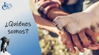 &iquest;Qui&eacute;nes somos? EDUCACI&Oacute;N CANINA, CACHORROS, CONSULTAS DE COMPORTAMIENTO | LealCan Adiestramiento