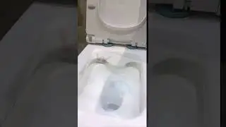 Floor Standing Toilet - Release Your Freedom #construction #bathroom #toilet #shorts #туалет