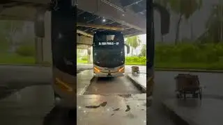 Onibus ouro e Prata #viagem #TURISMO #UNIVERSO #REFLEX&Atilde;O