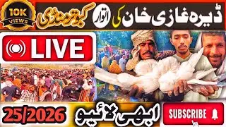 Parinda World is live! AJ Apko Live Mandi Ka Visit Karwatay hay Abhi Live SpeciaL