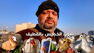القطيف سوق الخميس للطيور  يناير Al-Qatif Al-Khamis market for birds January 2025