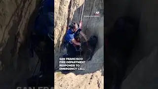 Firefighters rescue dog from cliff in San Francisco | Caught on camera