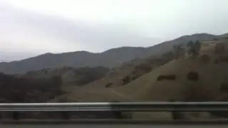 Dkfh