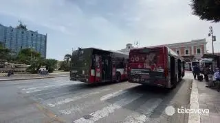 Halloween, vandali in azione a Bari: danneggiati 5 bus. A Molfetta funziona il piano anti-teppismo