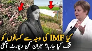 IMF Behind Pakistan Farmers' Crisis? | IMF Loan & Agriculture Issues Explained