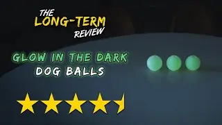 Glow in the Dark Dog Balls - The Long-Term Review