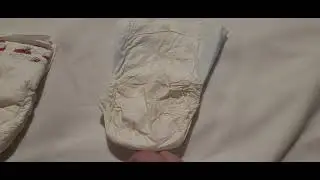Real Plastic Backed Diapers