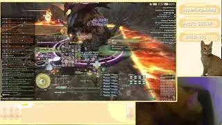 FFXIV 7.3 Alliance raid quest part 2 The Second Walk