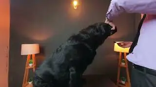 2023 February 27 Feeding my pet dog LOGAN when he stopped eating