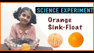 Science (EVS) experiment for kids - [ Does an orange sink or float in water? ] - Experiment 3