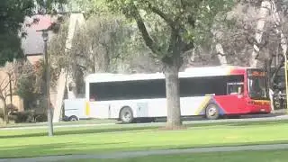 2451 - Volvo B8RLE - Volgren &lsquo;Optimus&rsquo; - Southlink - (Adelaide Metro)