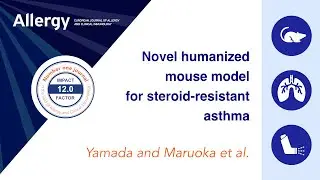 Novel humanized mouse model for steroid-resistant asthma