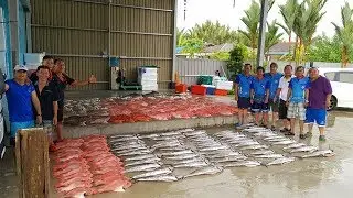 Big Bite Sport Fishing, Kuching [Eat Sleep Fish]