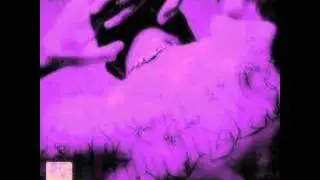 CARTEL DE SANTA-PERROS (SCREWED & CHOPPED)