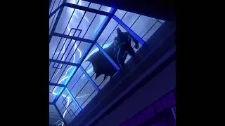 DCU'S BATMAN 🦇 | FIRST LOOK | CREATURE COMMANDOS | JAMES GUNN | DC COMICS #batman #dc #comics #dcu