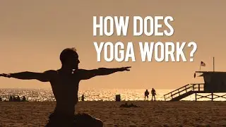 How does YOGA work?