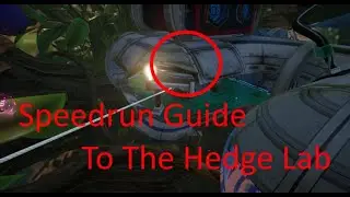 Ultimate Guide to Completing the Hedge Lab Grounded