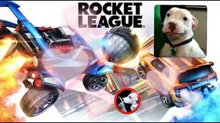 stupid car soccer game (I threw)
