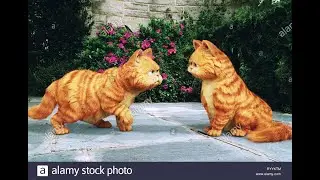 Garfield: A Tail of Two Kitties, but its the 2nd best run of Wake Christians 2017 Marching Band show