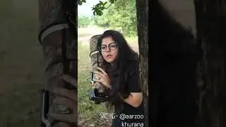 Best video of the day #videooftheday #love #owl
