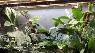 Regenanlage Paludarium