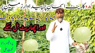 How to produce from pumpkin in the Rains. برسات کے موسم میں کدو سے کیسے پیداوار لے
