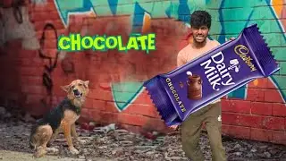 I eat chocolate with my dog 🍫 Dairy Milk 🤤 #chocolate