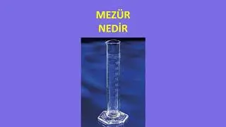 MEZ&Uuml;R NEDİR?