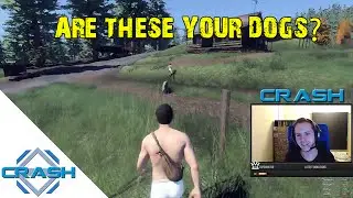 Are these your Dogs? - H1Z1