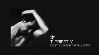✿ T. Priestly - Don't You Hear The Thunder?