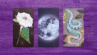 ¿Qué viene en el Amor en Febrero? 🥰 Solteros y persona especial 💘💜 Tarot interactivo 💜
