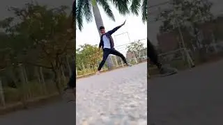 Gili gila_ desamuduru_song_Allu Arjun_Hansika