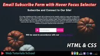 How to Create an Email Subscribe Form with Hover Focus Selector Using HTML & CSS