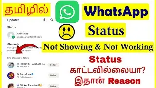 How to Fix WhatsApp Status Not Showing & Not Working Tamil | VividTech