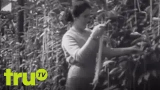 Best Hoaxes Ever - Spaghetti Trees