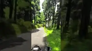 Ride in pine forest darjeeling. #queensofhill #darjeeling #pineforest #adventure