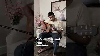 I Knew I Loved You (Pt. 3) - Savage Garden - Cover (fingerstyle guitar) #Shorts