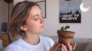ASMR - Houseplants Update and Tips 🌱